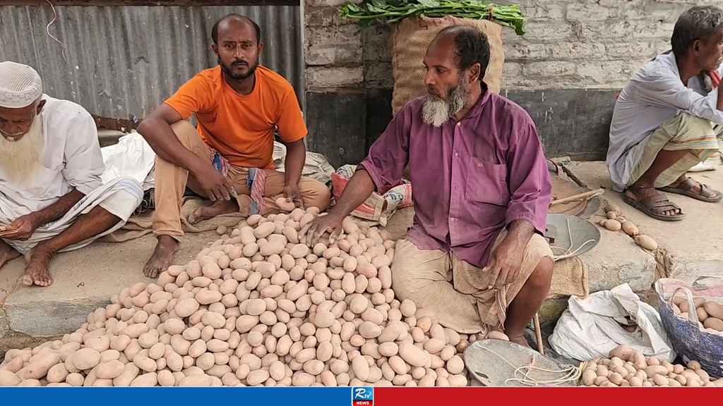 কুষ্টিয়ায় দাম কমেছে আলুর, স্বস্তি সবজি ও মাছের বাজারে 