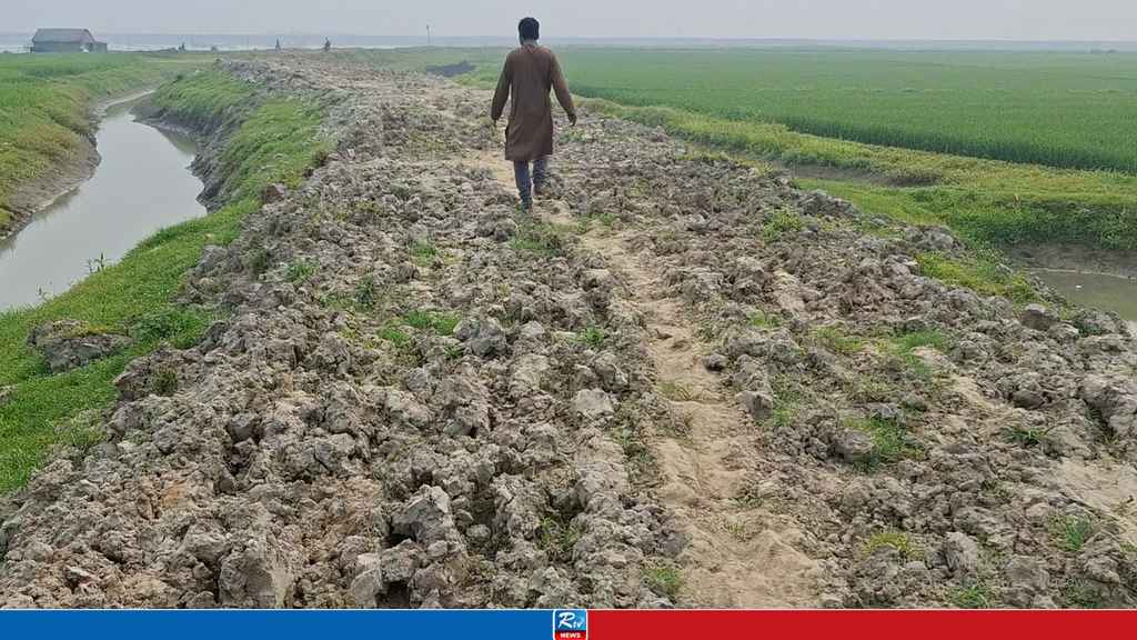 ঝুঁকিতে হাওরের ফসল রক্ষা বাঁধ, শঙ্কায় কৃষকরা