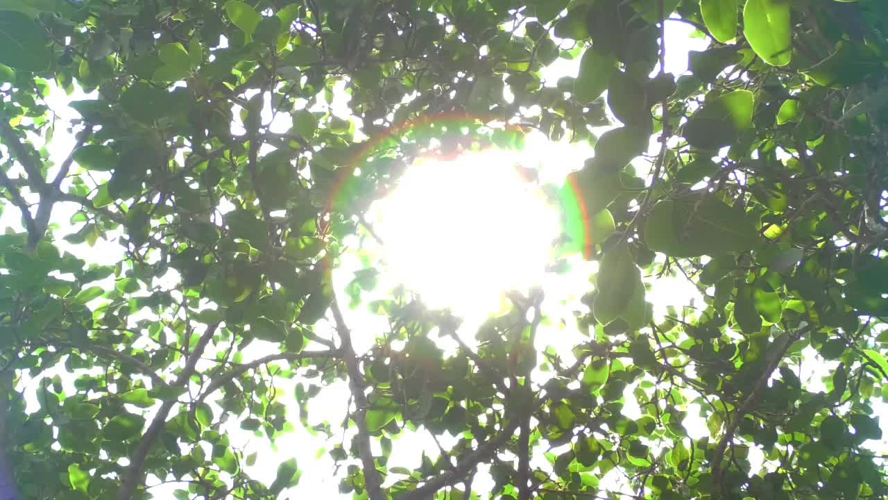 Chuadanga_Hot_Weather_Footage_&_Voxpop_10-05-25_1