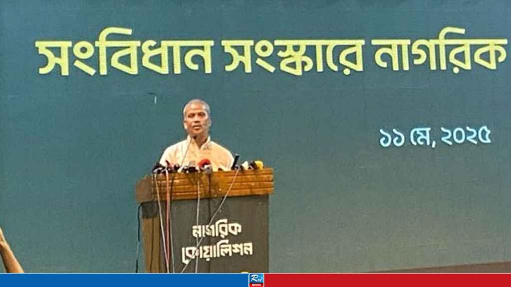 নতুন সংবিধান প্রণয়ন হতে অনেক সময় লাগবে: আসিফ নজরুল