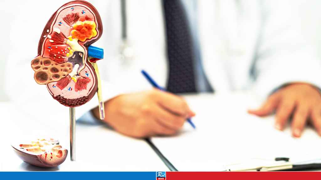 বয়স ৪০ পেরোলেই কিডনি ক্যানসারের ঝুঁকি বাড়ে