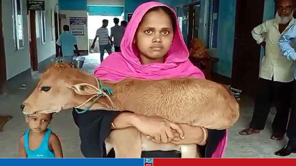 গরু নিয়ে যাওয়া সেই বিএনপি নেতা বেল্লাল বহিষ্কার