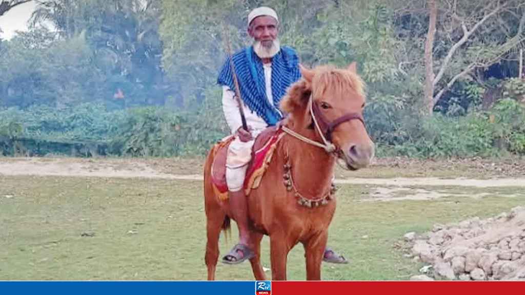 হাসপাতালে ছিলেন গোরখোদক, ঘোড়াটি মেরে ফেলল দুর্বৃত্তরা