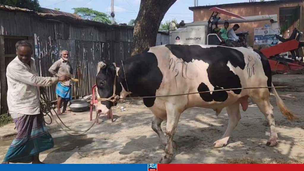 ‘ঈশা খাঁ’-এর দাম হাঁকানো হচ্ছে ১৫ লাখ