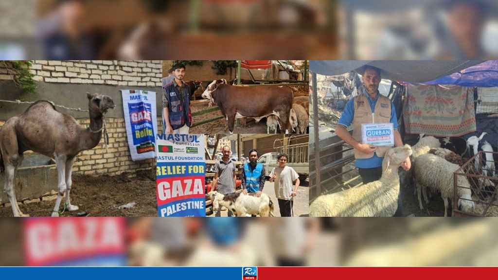 বাংলাদেশের পাশাপাশি গাজায় মাস্তুল ফাউন্ডেশনের কোরবানির কার্যক্রম সম্প্রসারণ