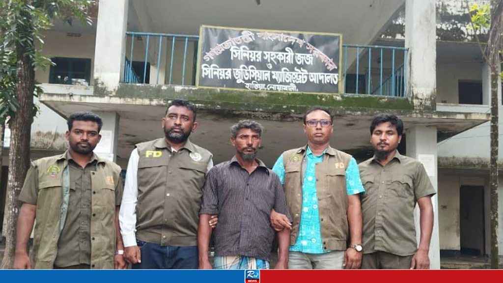 হাতিয়ায় সংরক্ষিত বনের গাছ কাটার অভিযোগে গ্রেপ্তার ১