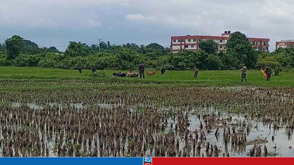 আখাউড়ায় সীমান্তে বাংলাদেশী ১৫ গরু নিয়ে গেল বিএসএফ