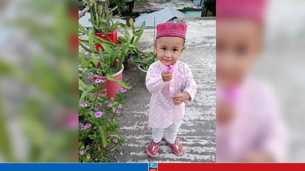 বরগুনায় ডেঙ্গুতে ৩ বছরের শিশুর মৃত্যু, হাসপাতালে ভর্তি ২১৪ জন