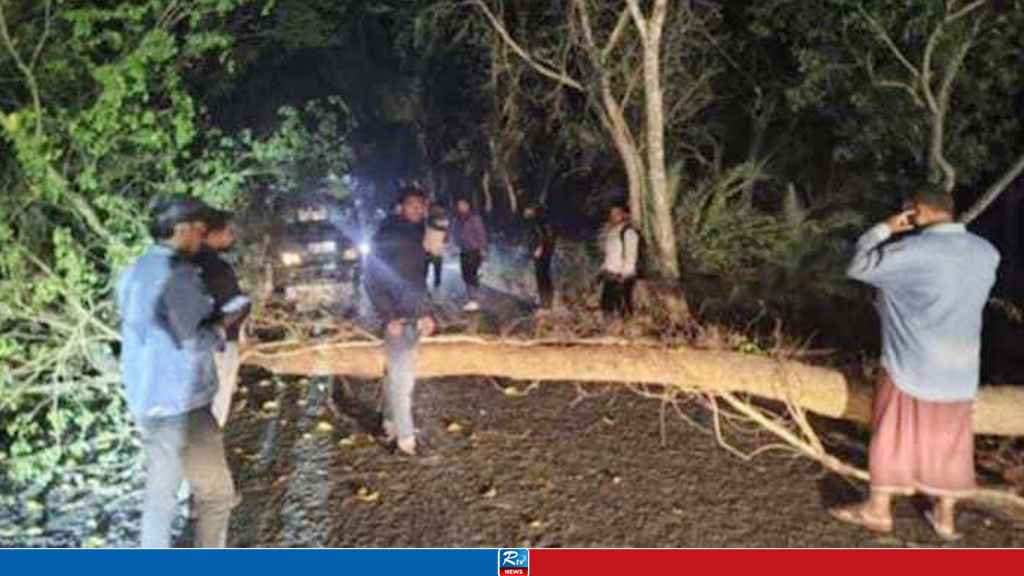 রাস্তায় গাছ ফেলে ডাকাতির চেষ্টা, নস্যাৎ করে দিলো এলাকাবাসী