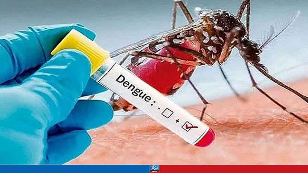 গত ২৪ ডেঙ্গুতে ২ জনের মৃত্যু, শনাক্ত ৩৯২
