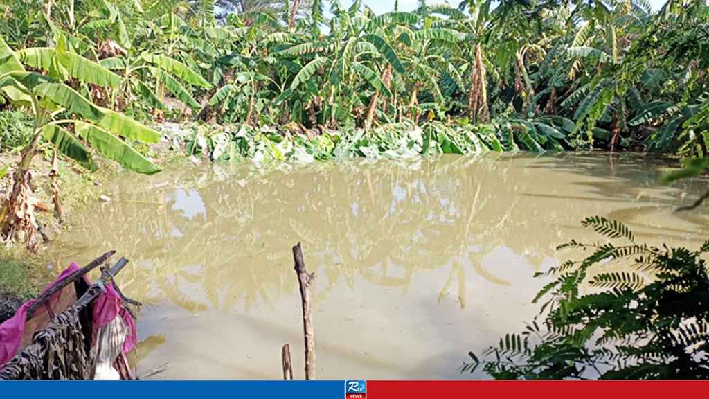 পটুয়াখালীতে পুকুরে ডুবে শিশুর মৃত্যু 