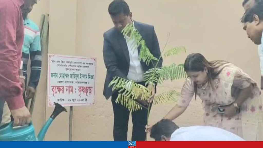 সোনারগাঁয়ে ১০ হাজার বৃক্ষরোপণের উদ্যোগ নিলেন ডিসি