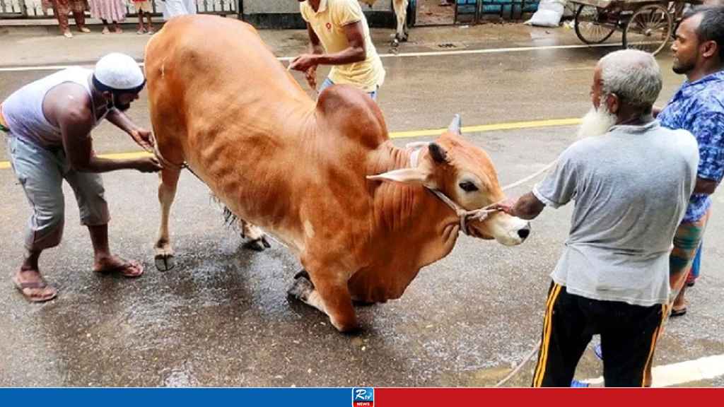 দুই শ্রেণির মানুষকে শরিকে রাখলে কোরবানি হবে না