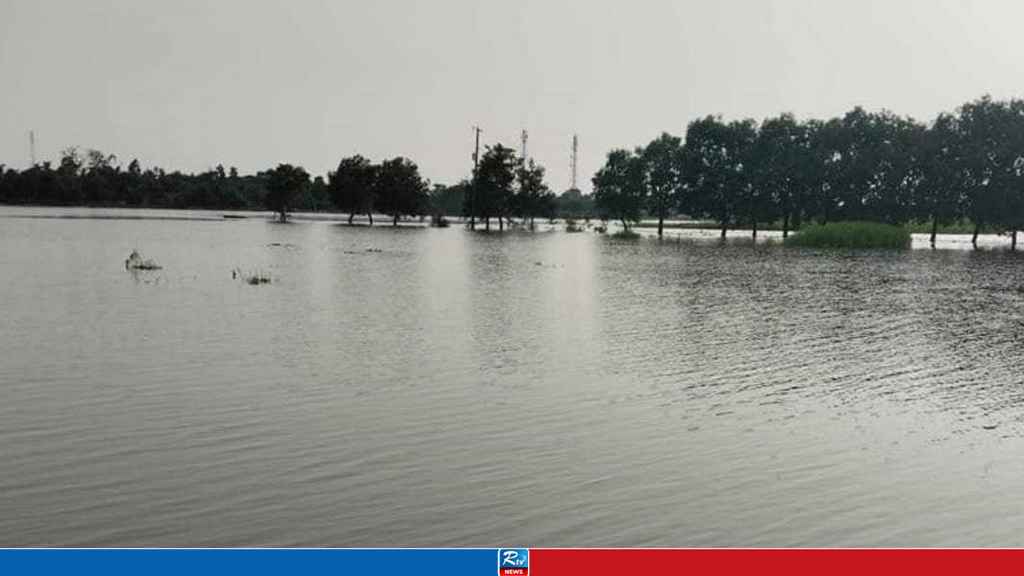 ঈদ যাত্রায় সন্তানকে বাঁচাতে গিয়ে মায়ের মৃত্যু