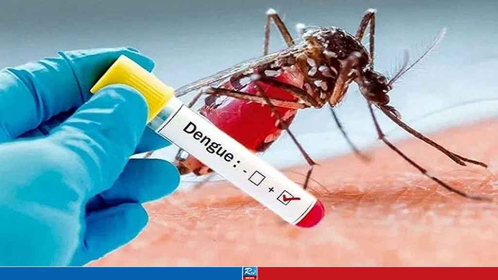ডেঙ্গুতে একদিনে আরও একজনের মৃত্যু, হাসপাতালে ৪২০