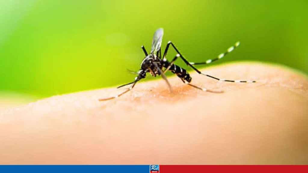 ডেঙ্গুতে আরও ২ জনের মৃত্যু, হাসপাতালে ভর্তি ৩৩০