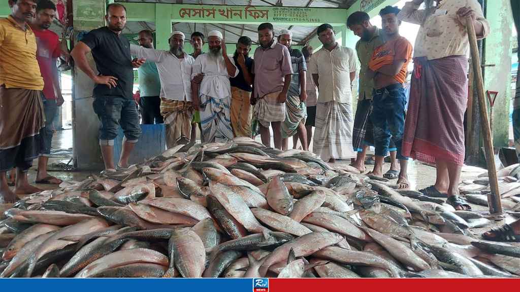 সাগরে এক জেলের জালে ধরা পড়েছে ৩৩ লাখ টাকার ইলিশ