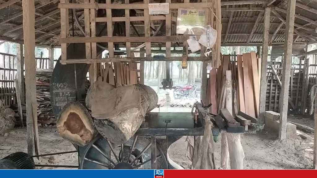 কুড়িগ্রামে স’ মিলের করাতে কাটা পড়ে শ্রমিকের মৃত্যু