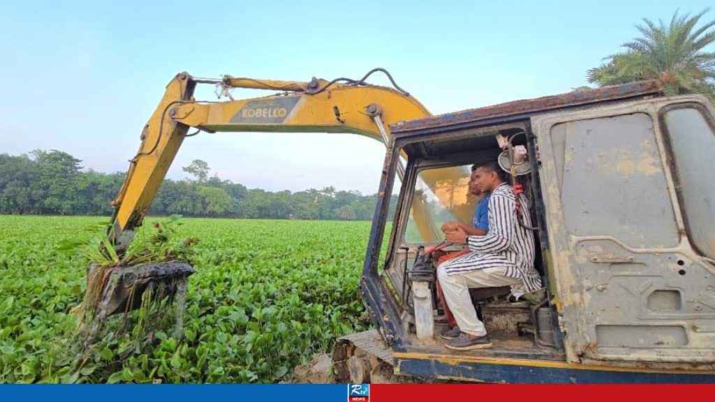সাঁথিয়ায় ইছামতী নদী থেকে কচুরিপানা অপসারণ শুরু
