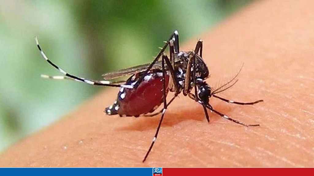 ২৪ ঘণ্টায় ডেঙ্গু আক্রান্ত হয়ে ৪২৯ জন হাসপাতালে