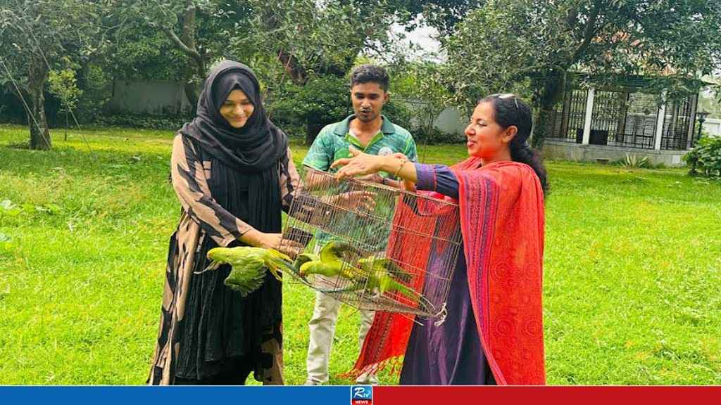 ঠাকুরগাঁওয়ে ৬টি টিয়া পাখি অবমুক্ত, ৩ পাচারকারী আটক 