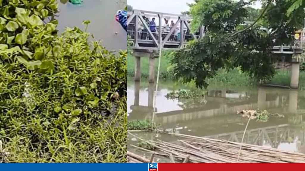 সোনারগাঁয়ে অজ্ঞাত নারীর মরদেহ উদ্ধার