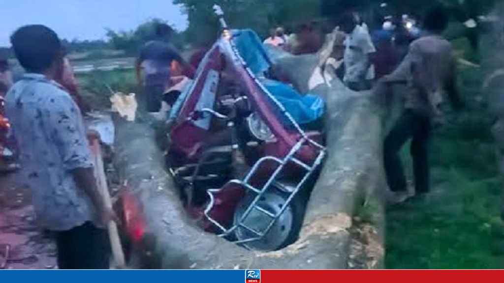 ঝড়ে গাছ পড়ে প্রাণ গেল গীতা রানীর