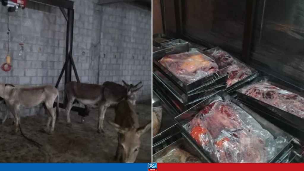 পাকিস্তানের গোপন কসাইখানা থেকে ৫০টি গাধা ও ১০০০ কেজি মাংস জব্দ