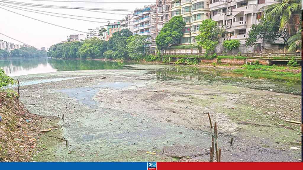 গুলশান লেক এখন ভাগাড়, দুর্গন্ধে অতিষ্ঠ এলাকাবাসী ও অফিসগামীরা