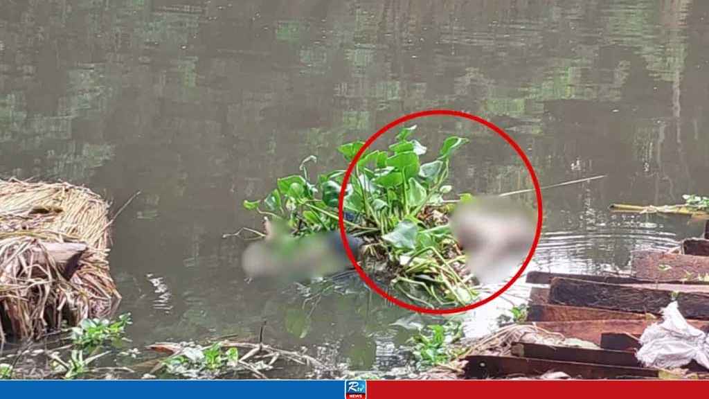 কচুরিপানার মধ্যে ভাসছিল মরদেহ