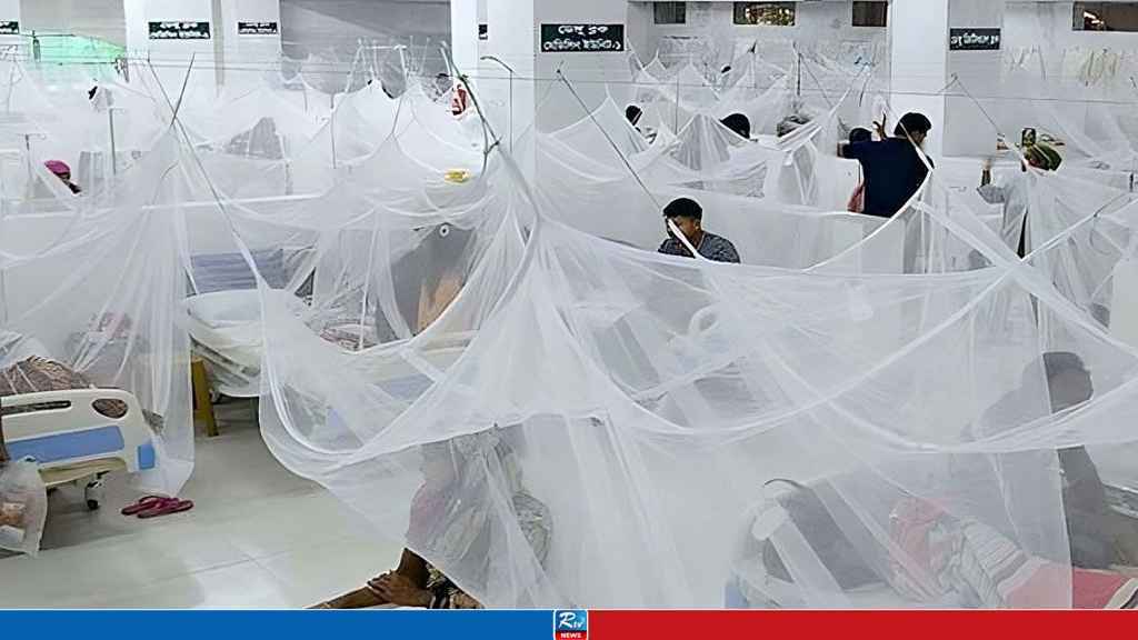 বরগুনায় একদিনেই একশ ছাড়িয়েছে ডেঙ্গু রোগী