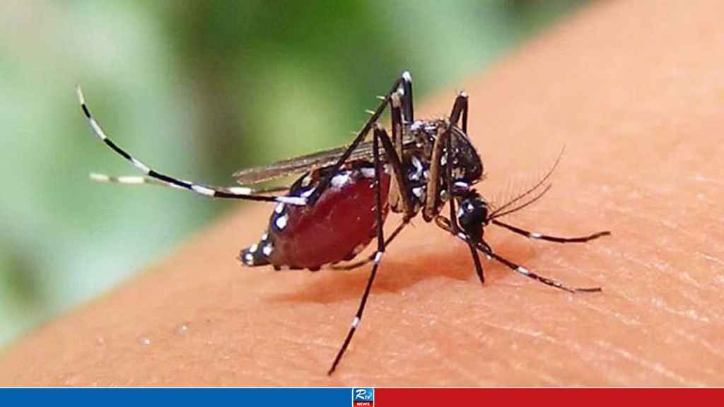 ‘ধরন পাল্টে গেছে ডেঙ্গুর, দ্রুত জটিল হচ্ছে রোগীর অবস্থা’