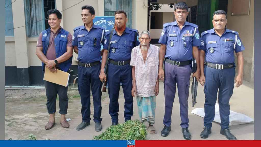 রোদে গাঁজা শুকাতে দিয়ে বৃদ্ধ আটক