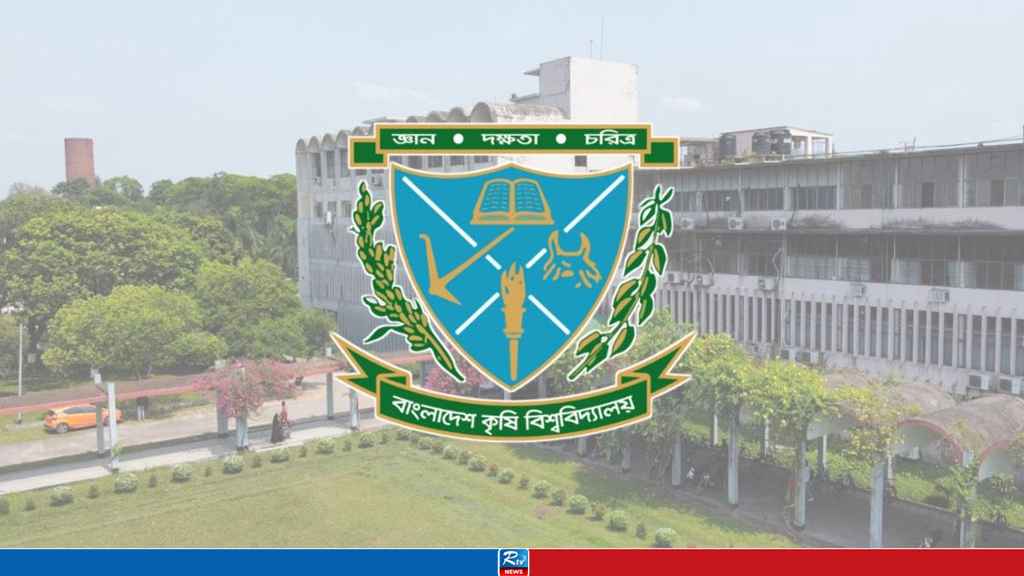 Rtv