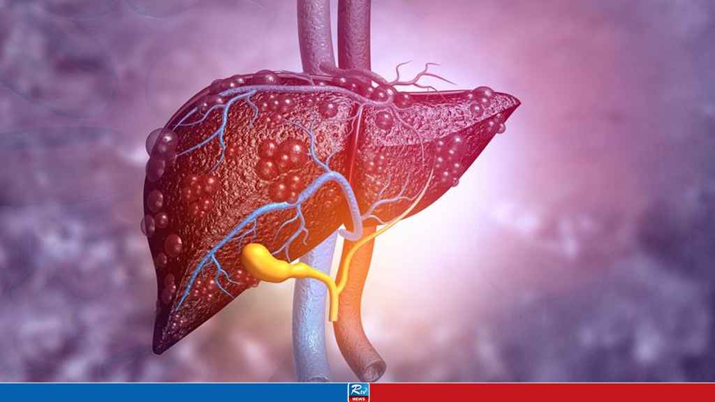 liver