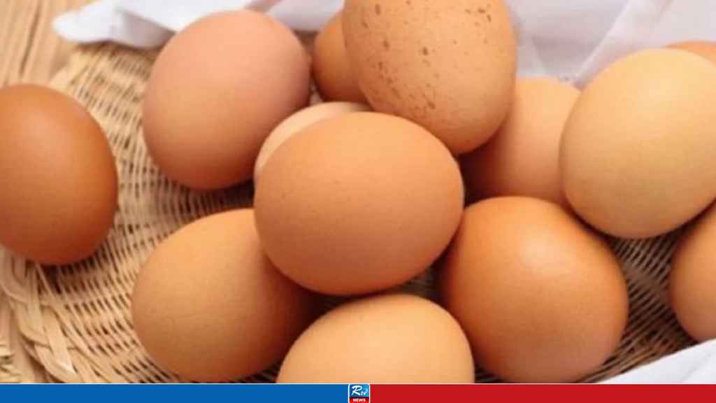 Egg_00426.26
