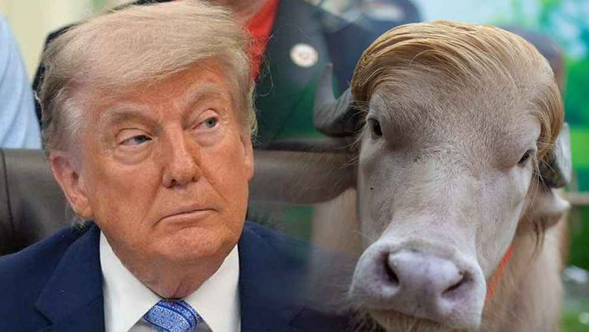 trump-PC