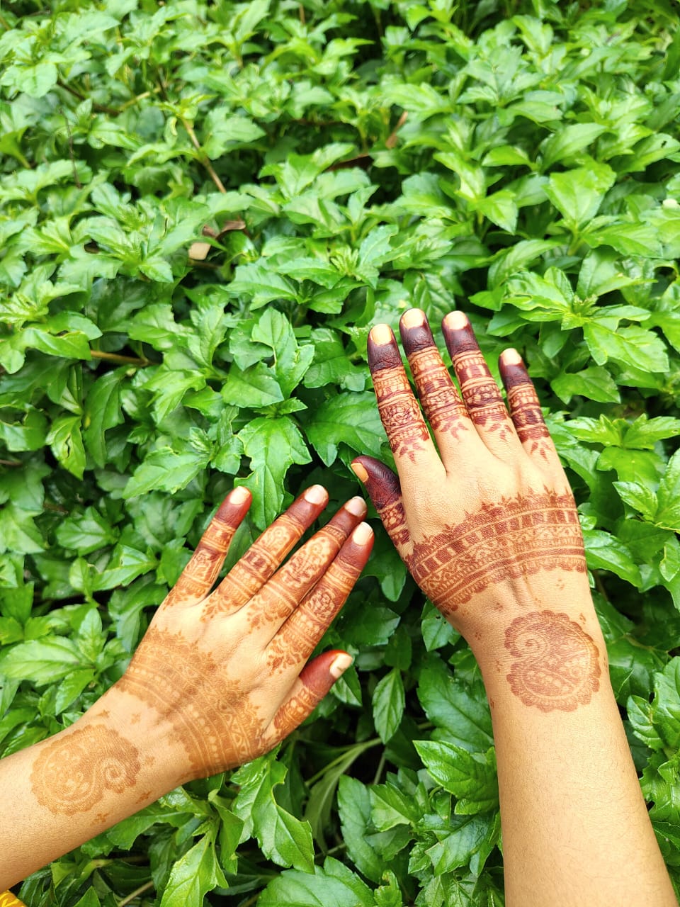 Autoshi's_Henna_Art2