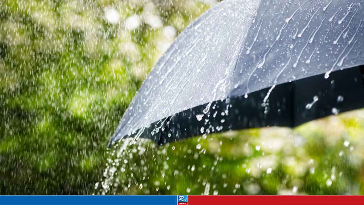 umbrella
