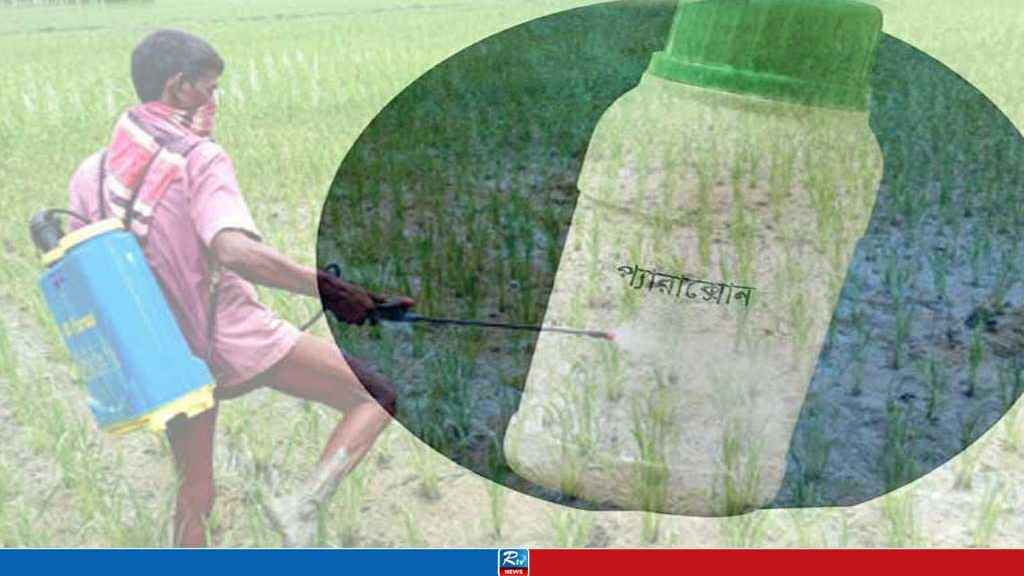 Web-Image---Copy