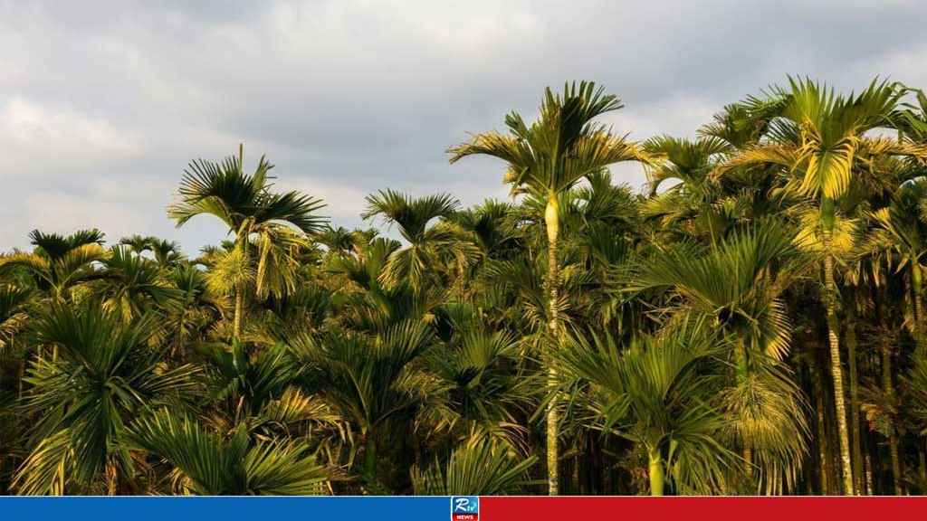 Web-Image---Copy