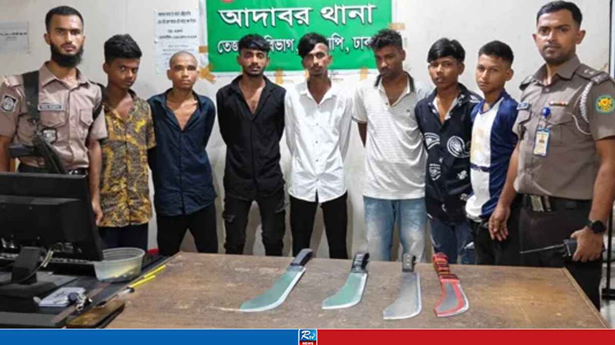 দিনে টিকটক রাতে ছিনতাই, গ্রেপ্তার ‘ভাইরাল’ ছিনতাইকারী